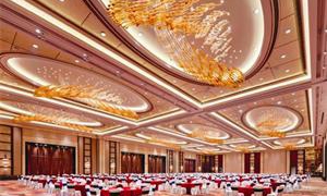 【酒店宴會廳】藝術創意吊線燈具SSDZ5861