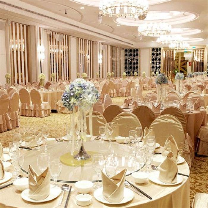 五星酒店燈具_(dá)宴會廳水晶燈定制效果圖【孫氏照明】